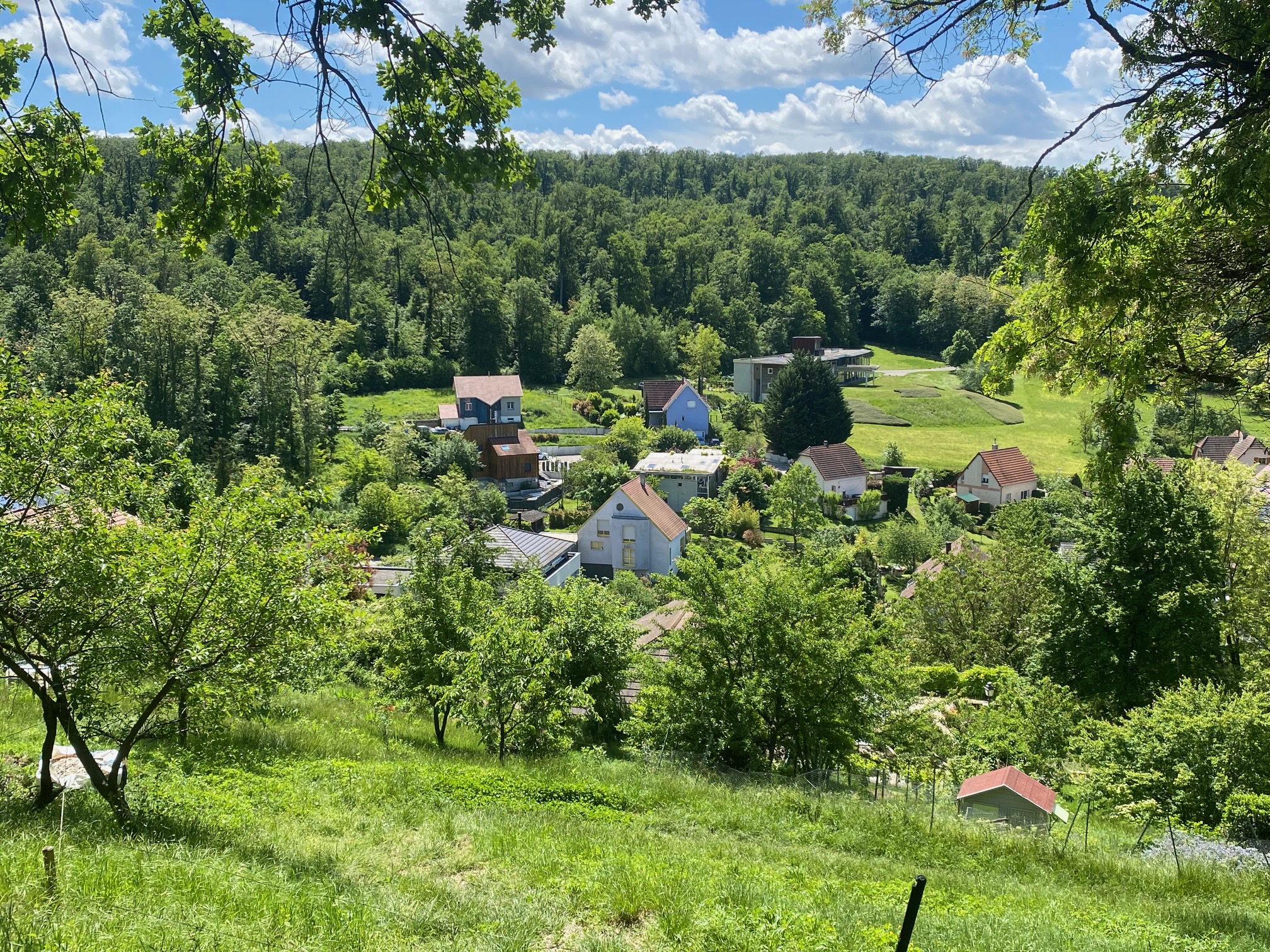 Environs du gîte – Illfurth Sundgau